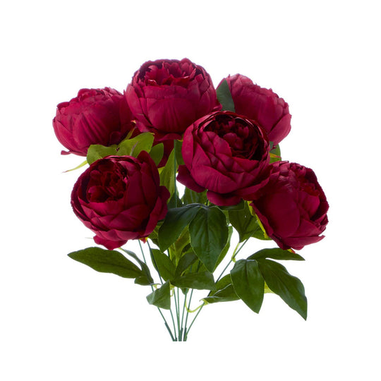 English Rose Bundle-Burgundy