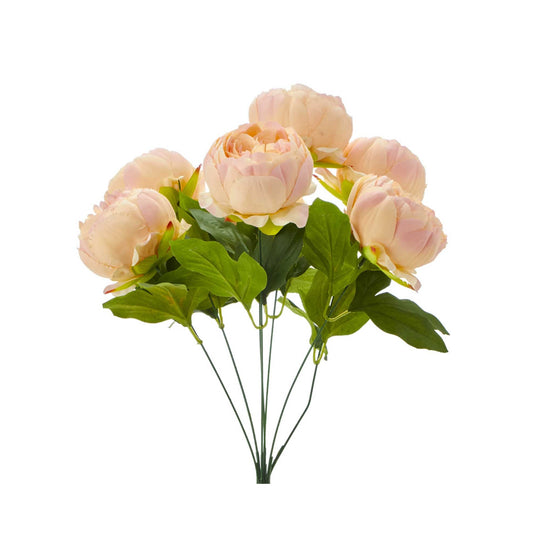 English Rose Bundle-Blush
