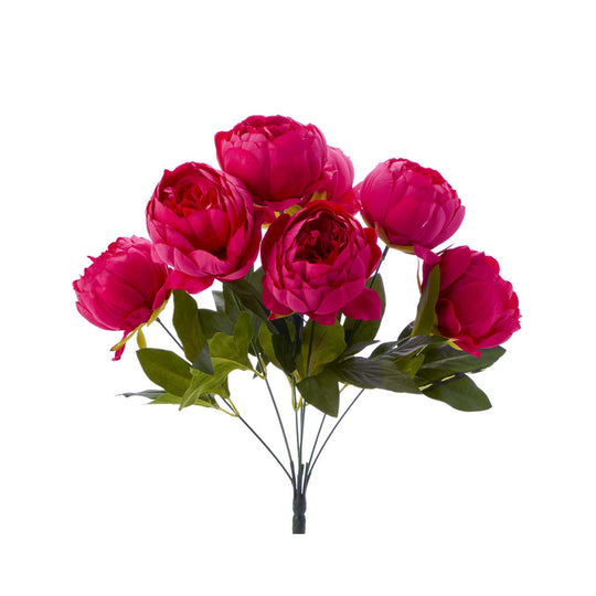 English Rose Bundle-Fuchsia