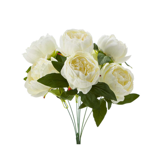 English Rose Bundle-Ivory