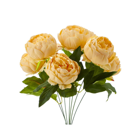 English Rose Bundle-Peach