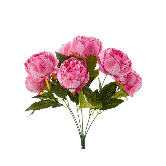 English Rose Bundle-Pink