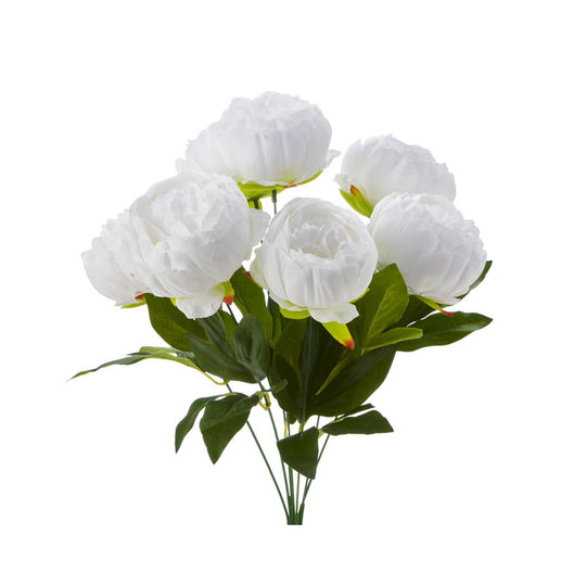 English Rose Bundle-White