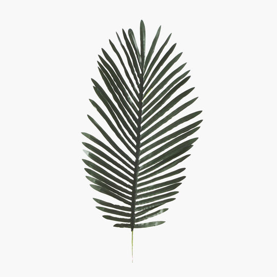 Artificial Feather Palm Leaves - 26.5 Inches - Set of 12
