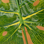 Artificial Monstera Adansonii Pick - Events and Crafts-Events and Crafts