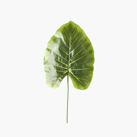 Faux Philodendron Gigantum Pick-Dark Green