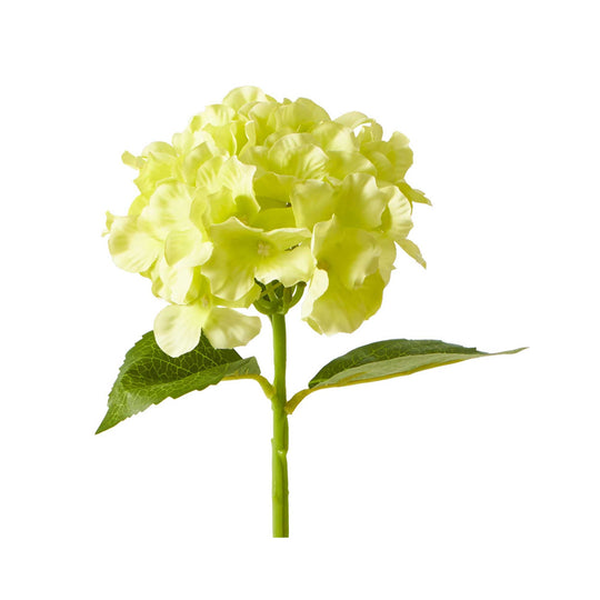 Economy Hydrangea Stem - Apple Green