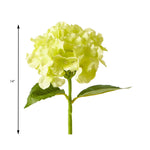Economy Hydrangea Stem - 12 Stems - Events and Crafts-Events and Crafts