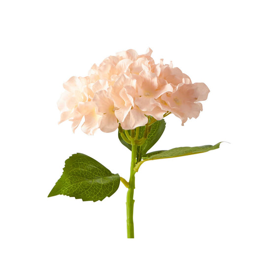Economy Hydrangea Stem - Blush