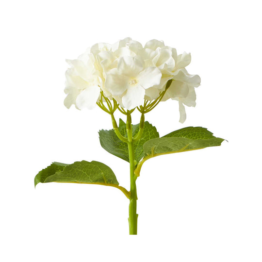 Economy Hydrangea Stem - Ivory