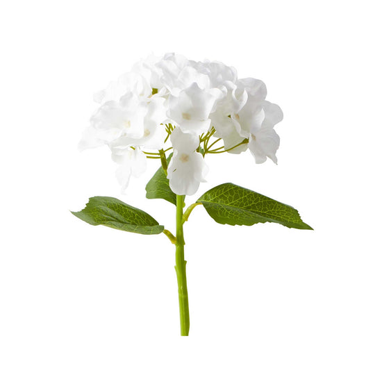 Economy Hydrangea Stem - White