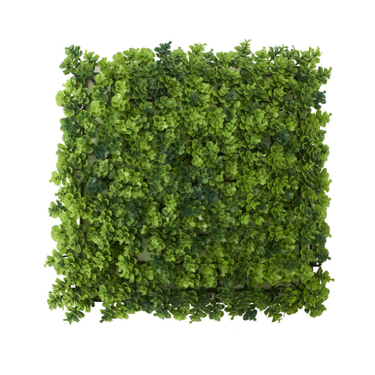 Japanese Boxwood Mat-Green