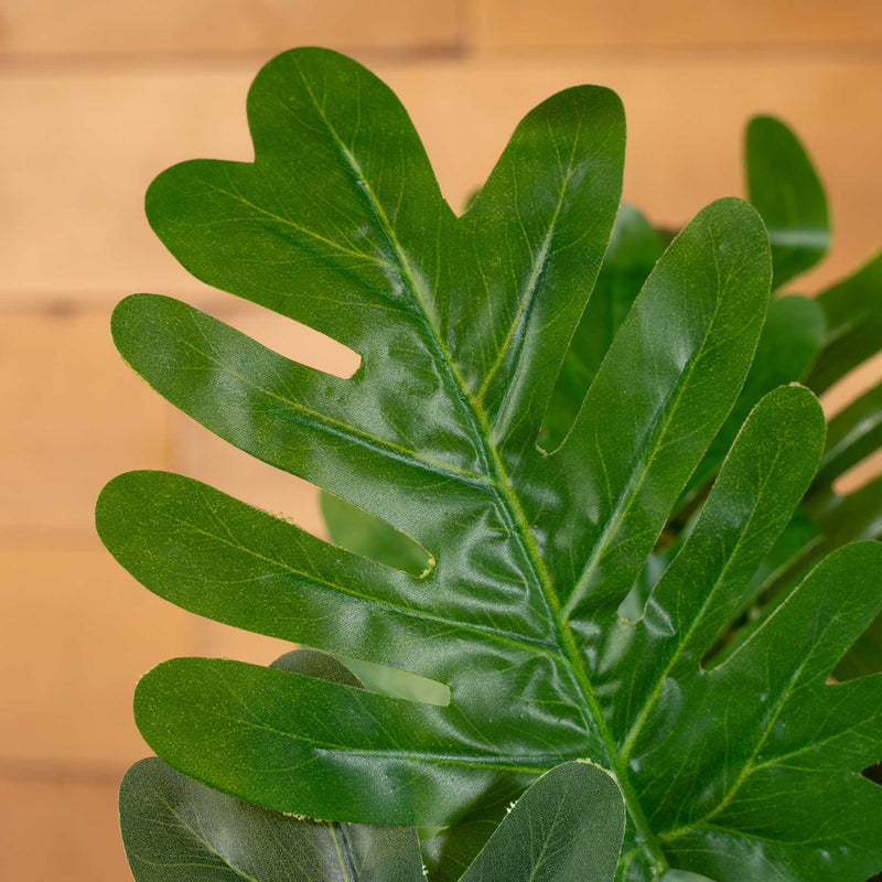 Faux Philodendron Plant - 4 Plants - Events and Crafts-Events and Crafts