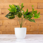 Artificial Pothos Spray - Set of 6 - Events and Crafts-Events and Crafts