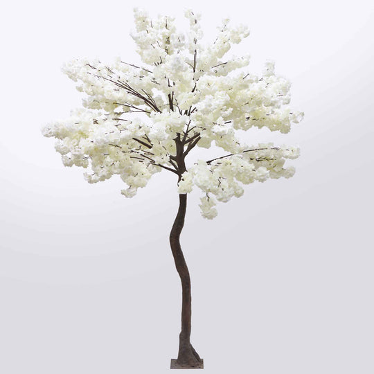 White Cherry Blossom Tree