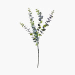 True Blue Eucalyptus Stem - Events and Crafts-Events and Crafts