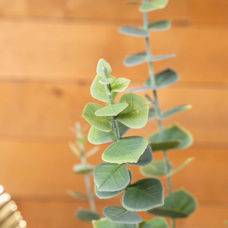 True Blue Eucalyptus Stem - Events and Crafts-Events and Crafts