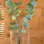 True Blue Eucalyptus Stem - Events and Crafts-Events and Crafts