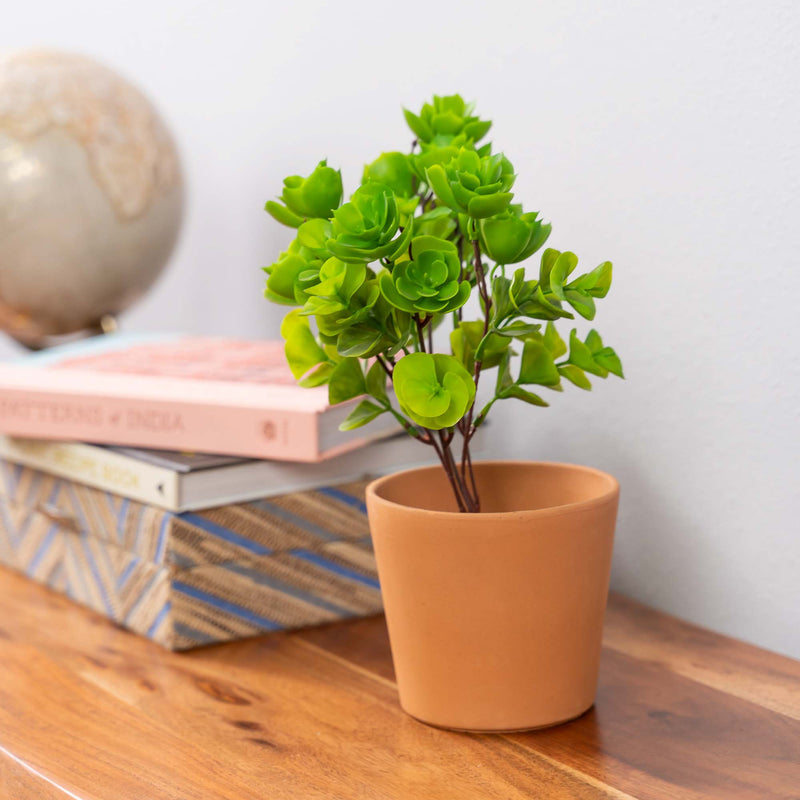 Faux Portulaca Molokiniensis Plant - Events and Crafts-Events and Crafts