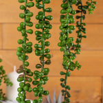 Faux String of Nickels Succulent Pick - Events and Crafts-Events and Crafts