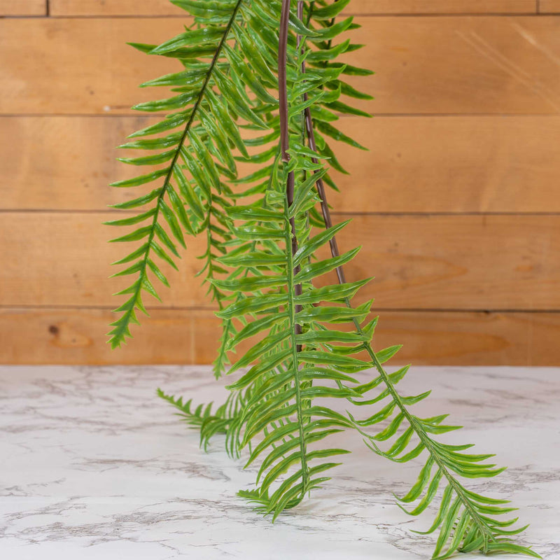 Mother Fern Spray - Events and Crafts-Events and Crafts