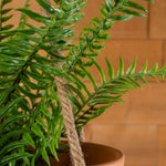 Mother Fern Spray - Events and Crafts-Events and Crafts