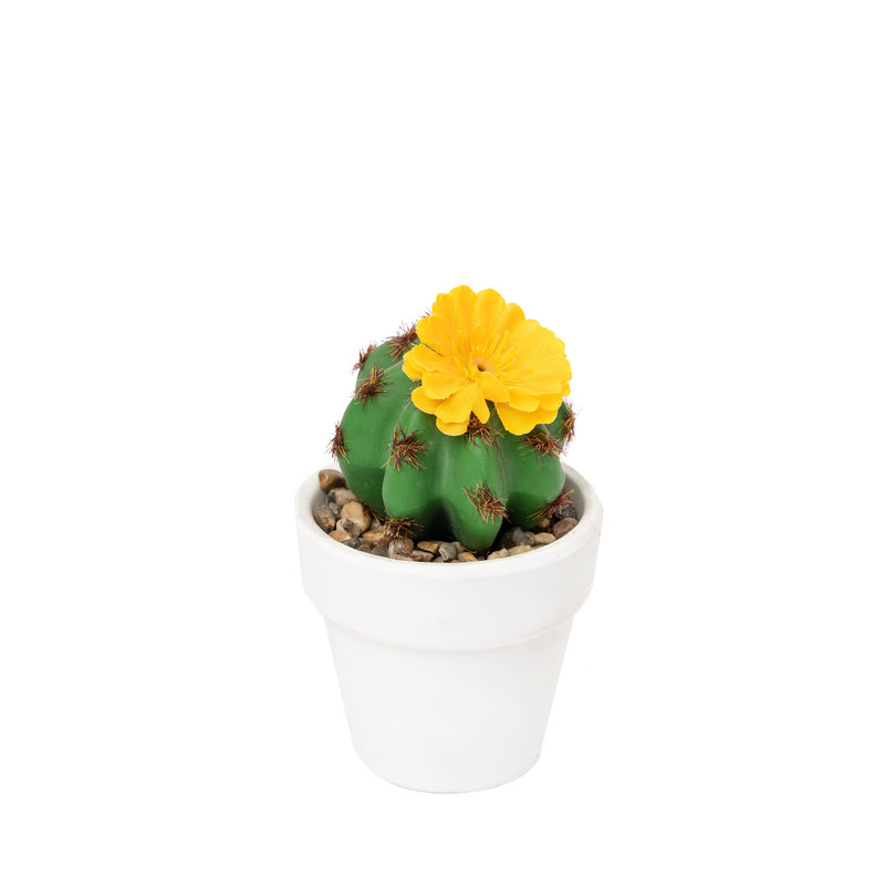 Artificial Assorted Cactus with Terracotta Pot Set of 12 - Events and Crafts-Events and Crafts