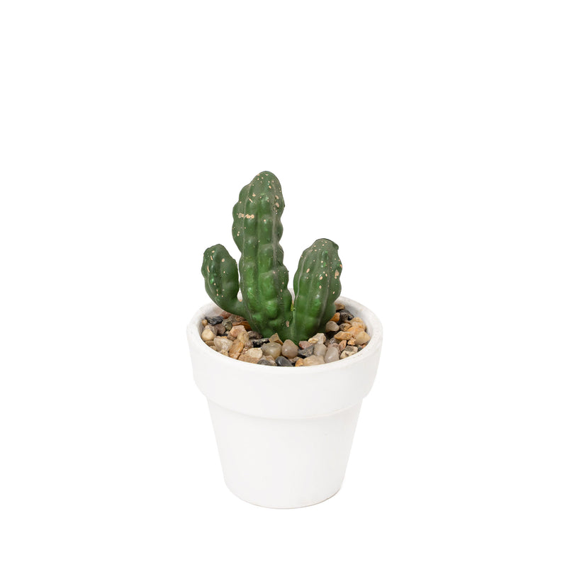 Artificial Assorted Cactus with Terracotta Pot Set of 12 - Events and Crafts-Events and Crafts