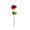 Faux Full Bloom Rose - 12 Stems - Events and Crafts-Events and Crafts