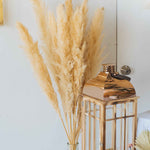 Giant Pampas Grass Stem - 24 Stems - Events and Crafts-Simple Elements