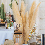 Giant Pampas Grass Stem - 24 Stems - Events and Crafts-Simple Elements