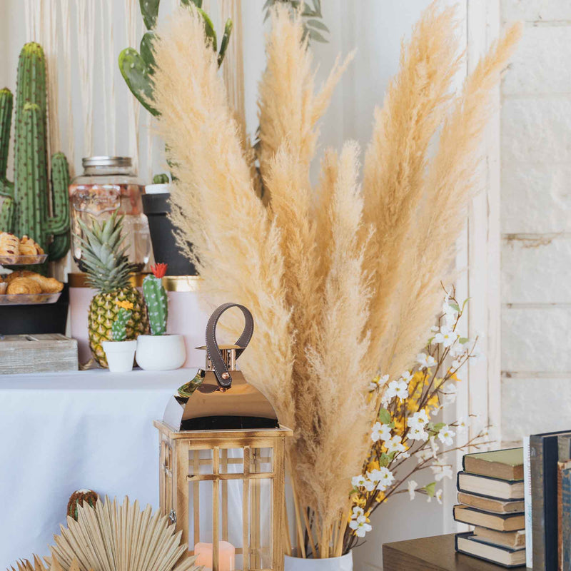Buy Giant Pampas Grass Stem | Natural Color