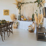 Giant Pampas Grass Stem - Events and Crafts-Events and Crafts