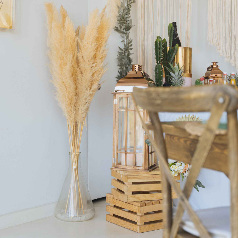 Giant Pampas Grass Stem - Events and Crafts-Events and Crafts