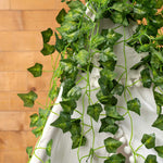 Variegated Ivy Garland - Events and Crafts-Events and Crafts