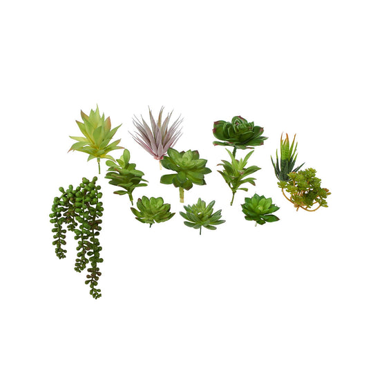 Set of 12 Assorted Succulent Stems