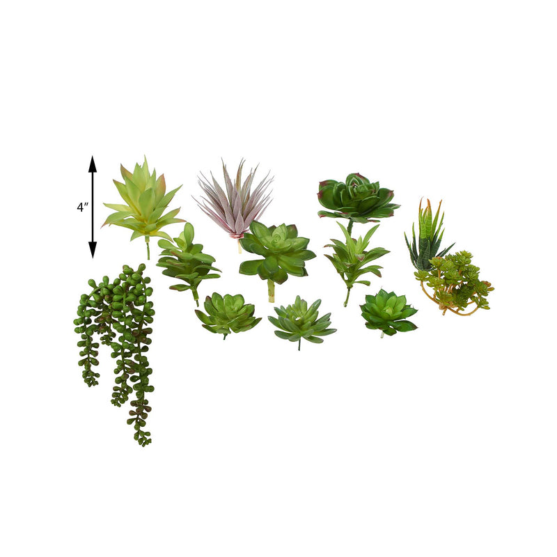 Set of 12 Assorted Succulent Stems - Events and Crafts-Events and Crafts