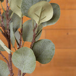 Frosted Eucalyptus Spray - Events and Crafts-Events and Crafts