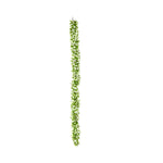 Ruscus Leaf Garland - Events and Crafts-Events and Crafts