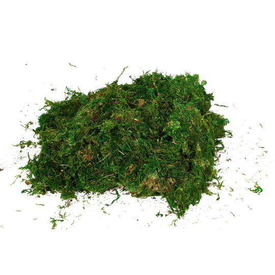 Natural Dried Moss