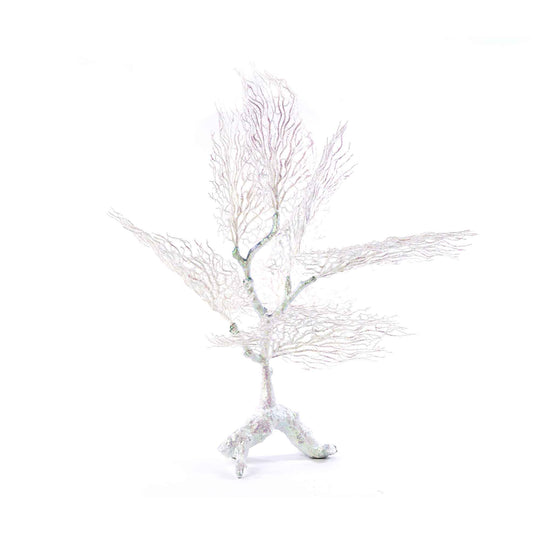 Large Format Coral Centerpiece