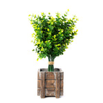 Green Artificial Boxwood Bouquet		" - Events and Crafts-Events and Crafts