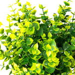 Green Artificial Boxwood Bouquet		" - Events and Crafts-Events and Crafts