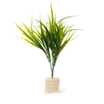 Faux Young Onion Grass 14" - Events and Crafts-Events and Crafts