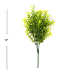 Yellow Faux Boxwood With Fern 14" - Events and Crafts-Events and Crafts