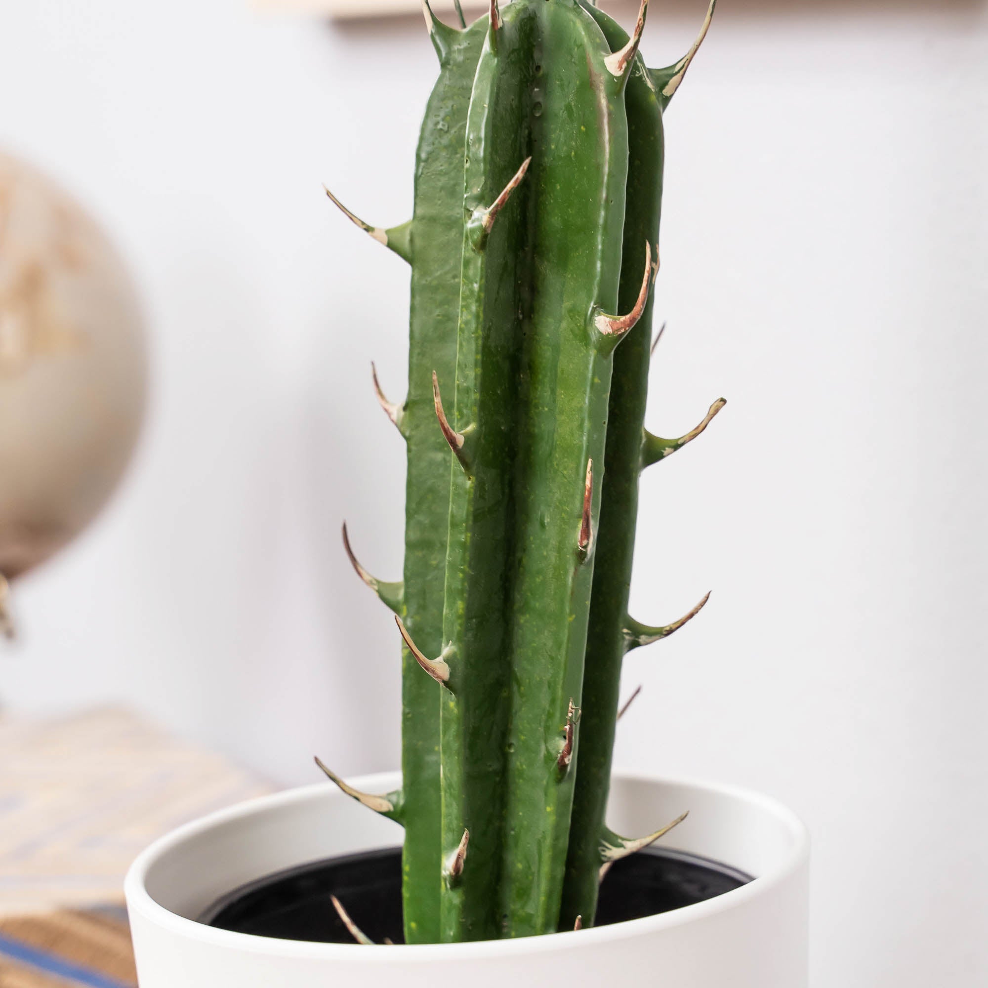 fake san pedro cactus Events and Crafts | Faux San Pedro Cactus with Pot