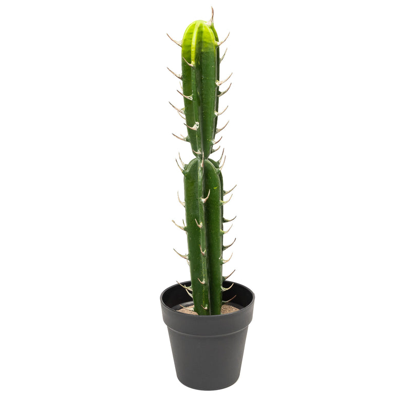 Faux San Pedro Cactus with Plastic Pot - Events and Crafts-Simple Elements