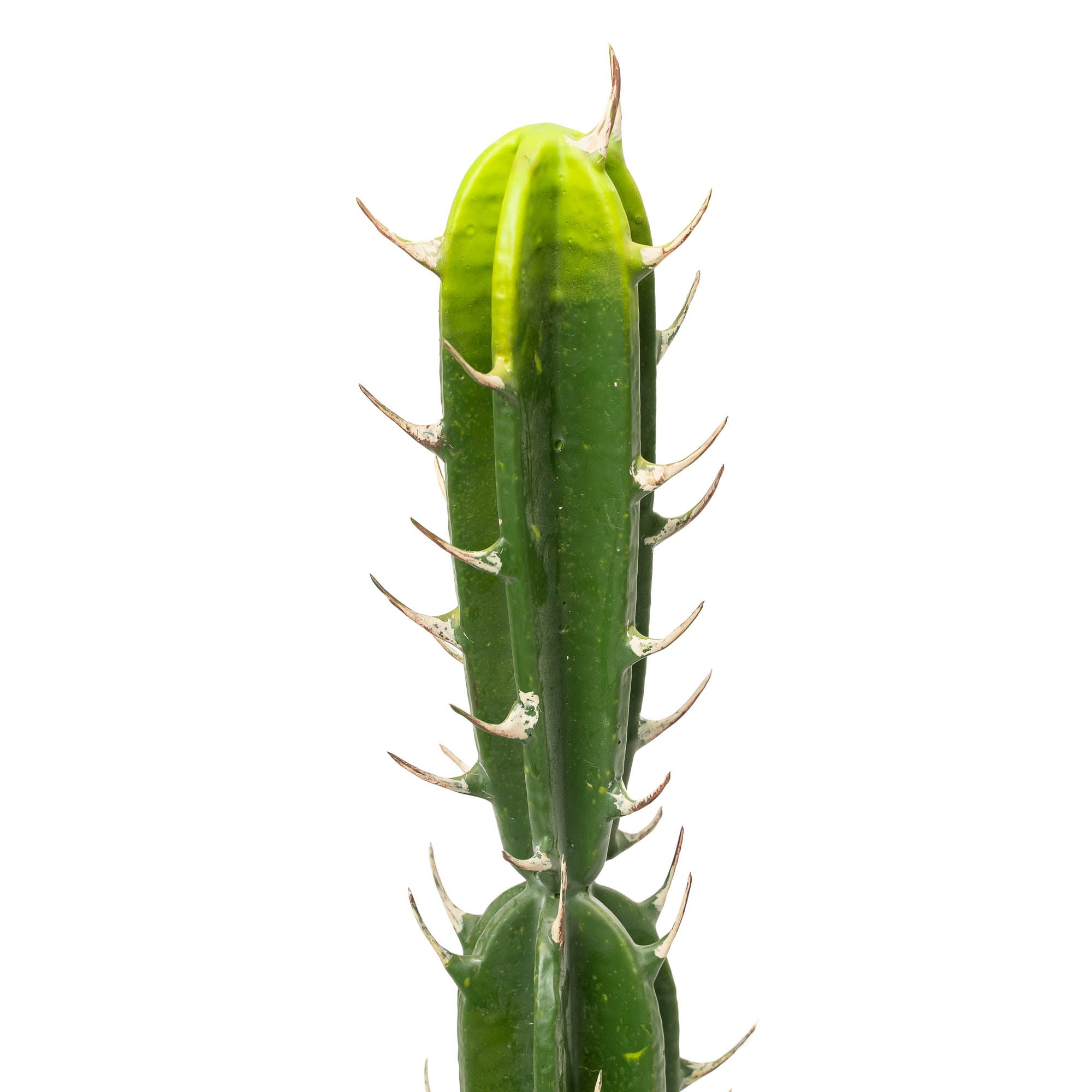 fake san pedro cactus Events and Crafts | Faux San Pedro Cactus with Pot