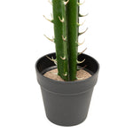 Faux San Pedro Cactus with Plastic Pot - Events and Crafts-Simple Elements