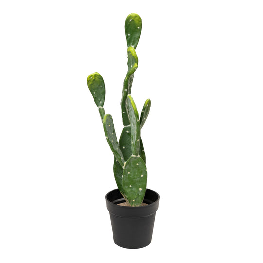 Faux Prickly Pear Cactus with Plastic Pot 30"